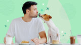 Why Natural Dog Treats are the Best Choice for Your Furry Friend