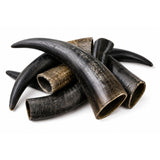 Drool Buffalo Horn