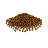 Drool Training Treats - Wild Boar